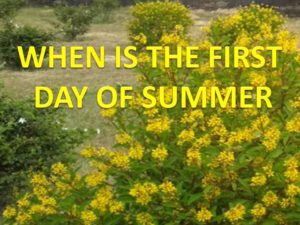 1st day of summer season official