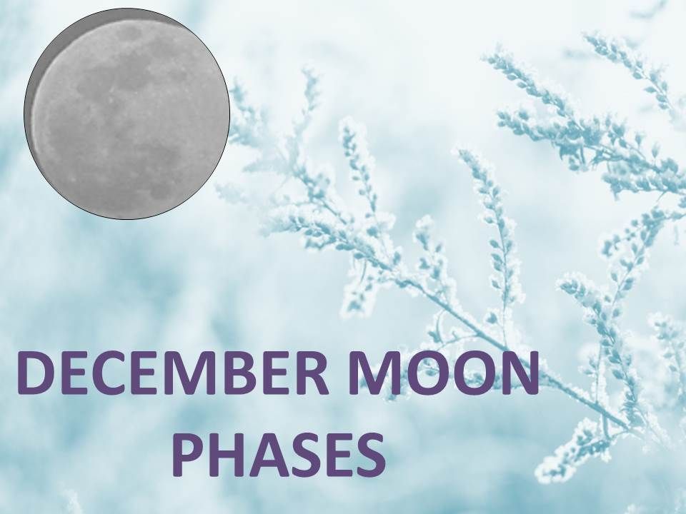 full moon december 2020