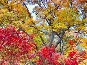 When is the First Day of Fall 2023 USA Canada UK Date and Time