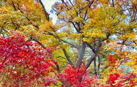 first day of fall autumn 2021