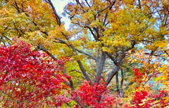 first day of fall autumn 2021