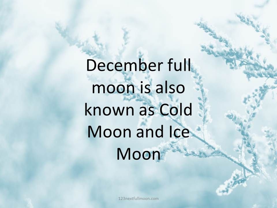 This image has an empty alt attribute; its file name is Cold-Moon-2021.jpg