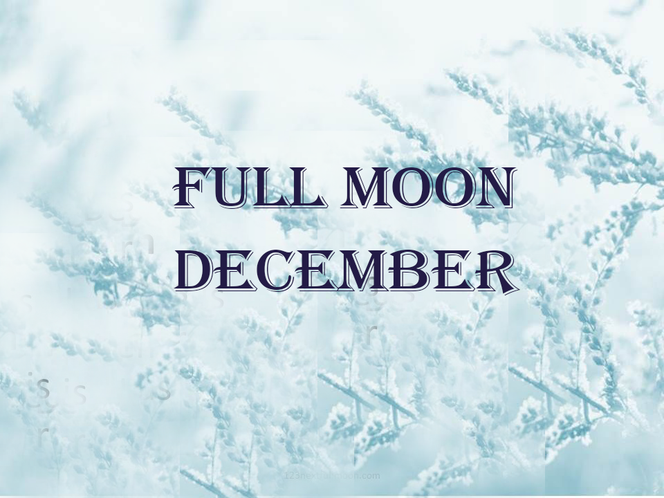This image has an empty alt attribute; its file name is Full-Moon-December-2023.png