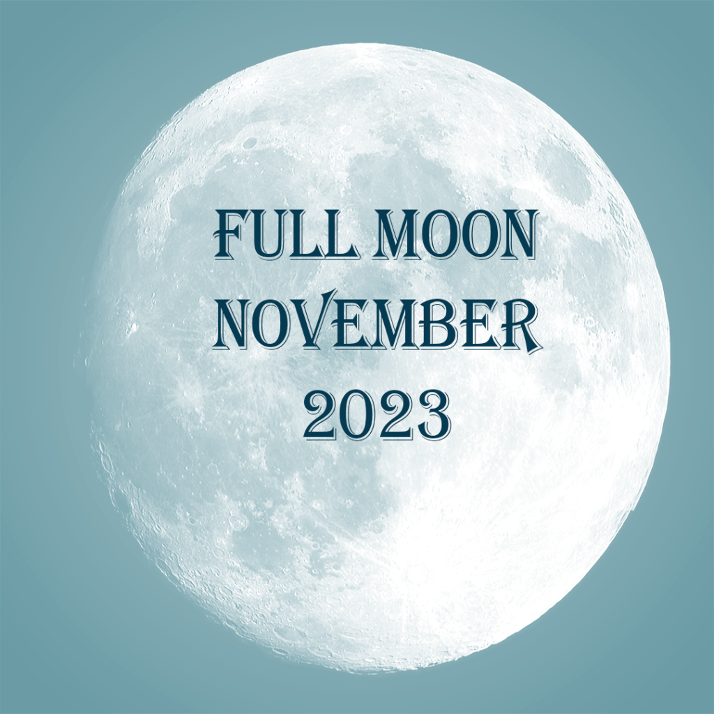 This image has an empty alt attribute; its file name is Full-Moon-November-2023-1024x1024.png