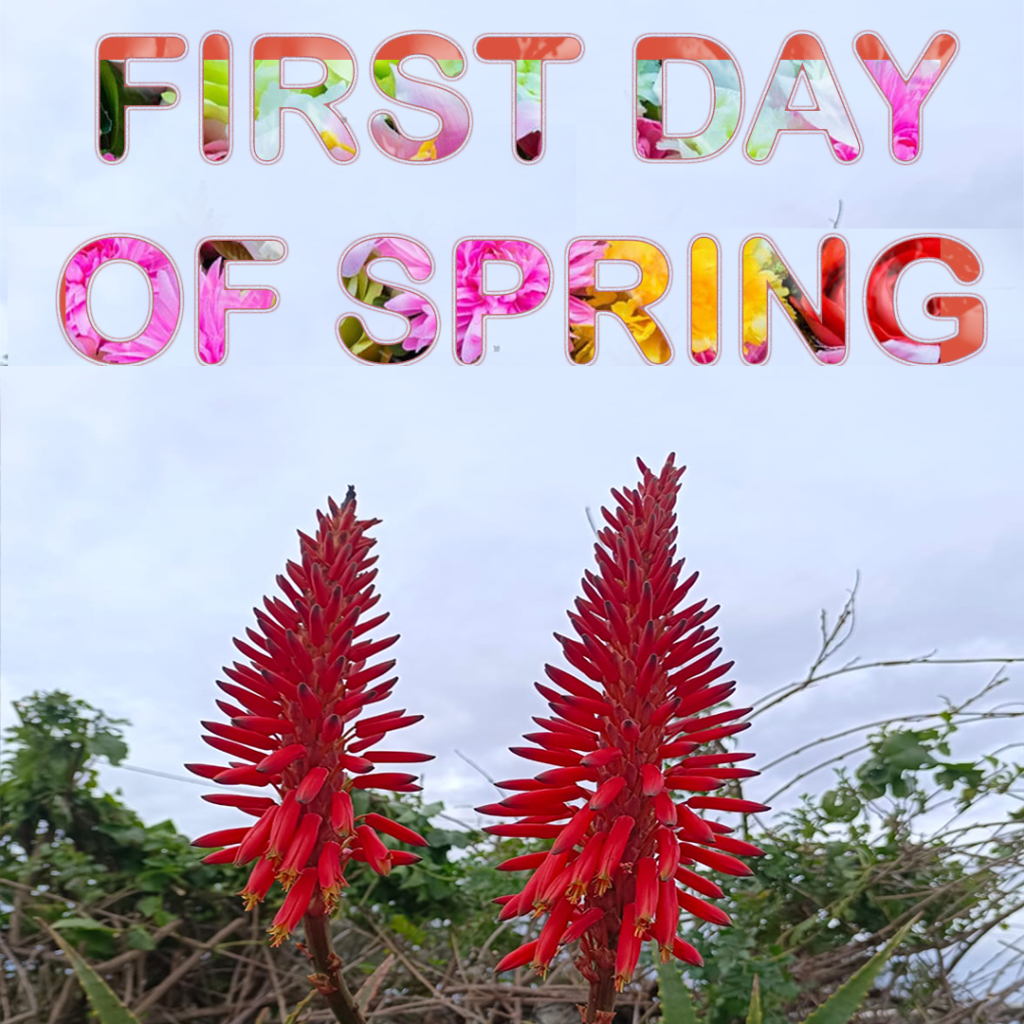 FIRST DAY OF SPRING 2024 DATE AND TIME