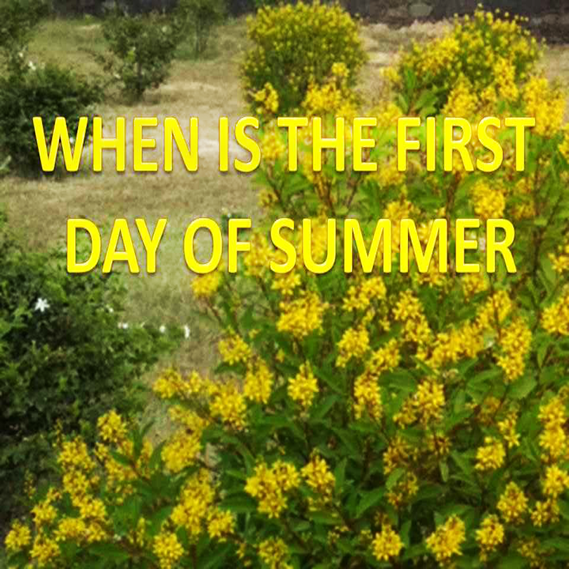 This image has an empty alt attribute; its file name is 1ST-DAY-OF-SUMMER.png