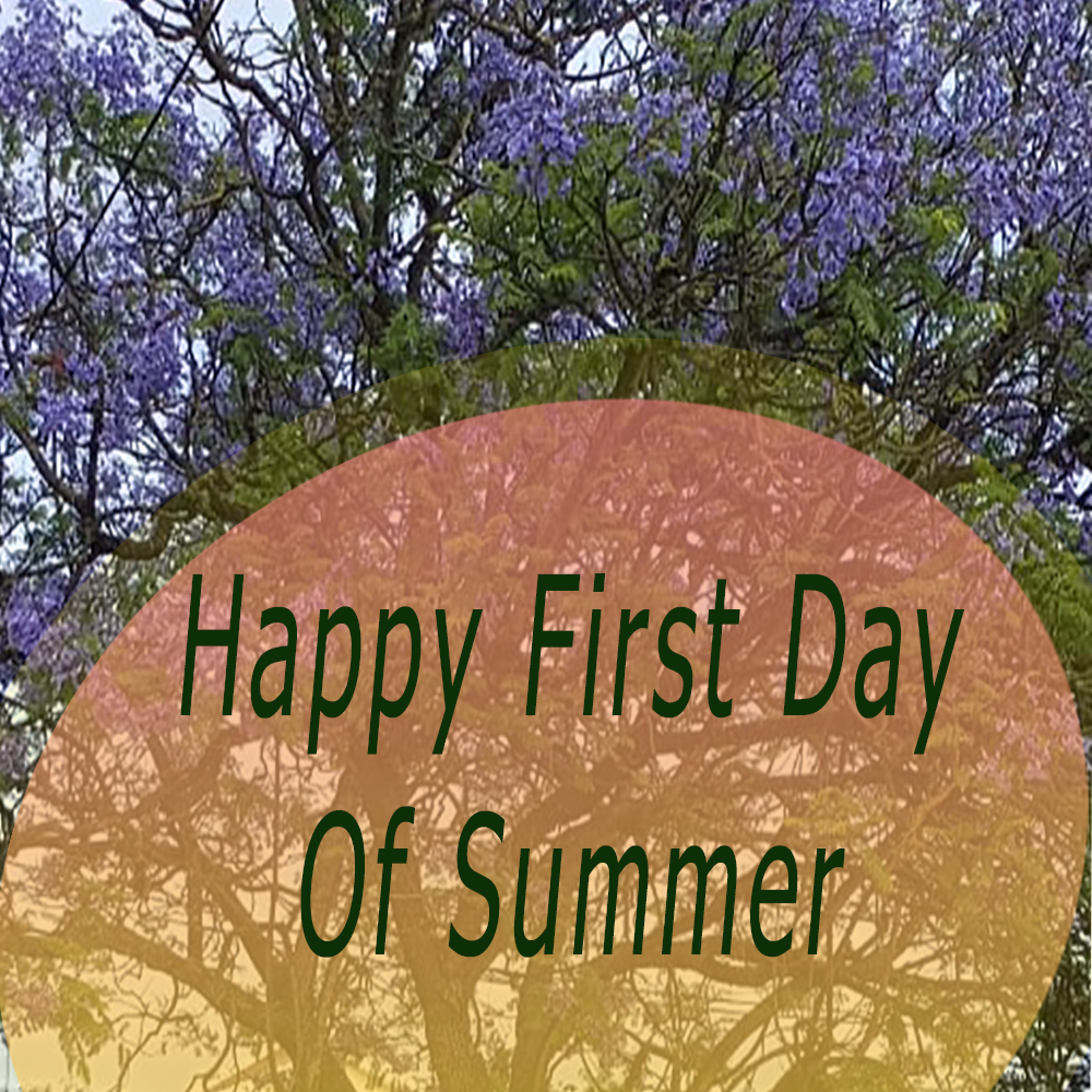 first day of summer 2024 date time and images